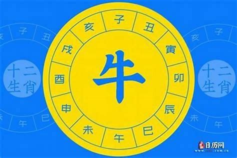 1984年五行属什么|1984年属鼠的是什么命，84年出生的鼠五行属什么